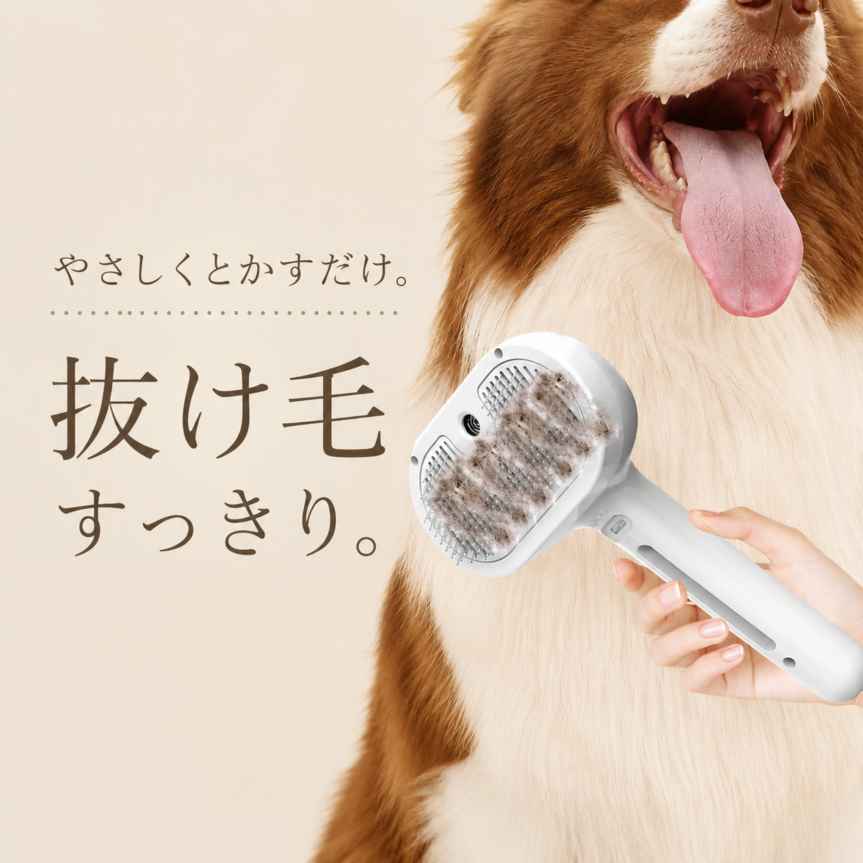 ミストでやさしく整える 3in1ペットブラシ